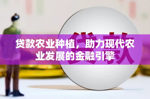 田阳贷款农业种植，助力现代农业发展的金融引擎