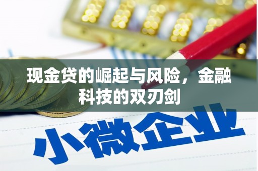 田阳现金贷的崛起与风险，金融科技的双刃剑
