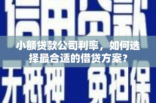 田阳小额贷款公司利率，如何选择最合适的借贷方案？