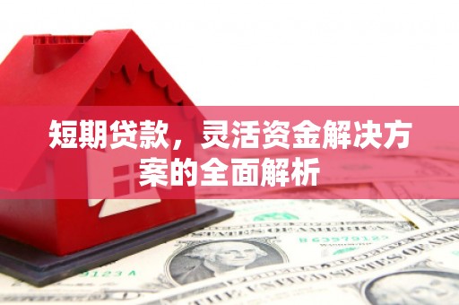 田阳短期贷款，灵活资金解决方案的全面解析