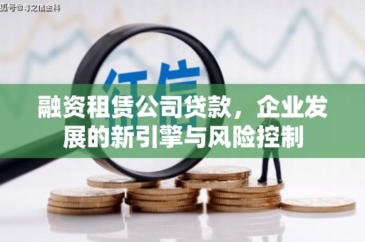 田阳融资租赁公司贷款，企业发展的新引擎与风险控制