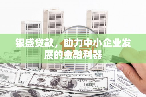 田阳银盛贷款，助力中小企业发展的金融利器