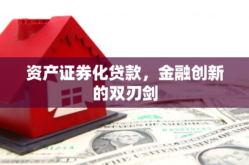 田阳资产证券化贷款，金融创新的双刃剑