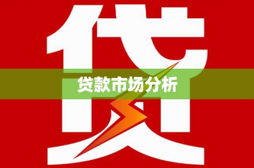 田阳贷款市场分析
