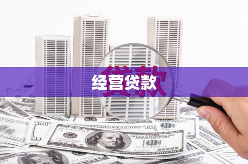 田阳经营贷款