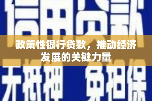 田阳政策性银行贷款，推动经济发展的关键力量