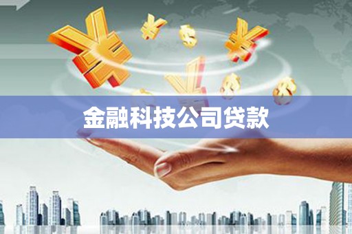 田阳金融科技公司贷款