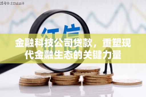 田阳金融科技公司贷款，重塑现代金融生态的关键力量