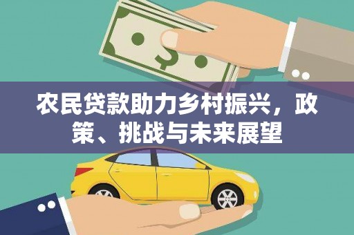 田阳农民贷款助力乡村振兴，政策、挑战与未来展望