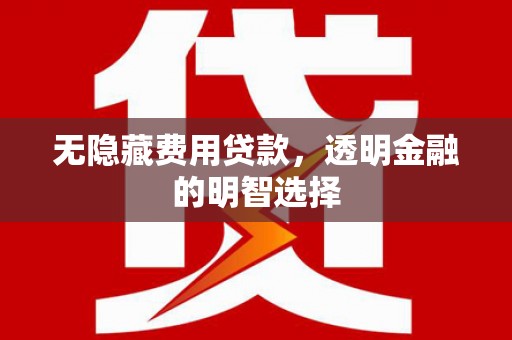 田阳无隐藏费用贷款，透明金融的明智选择