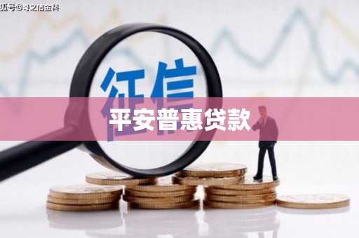 田阳平安普惠贷款