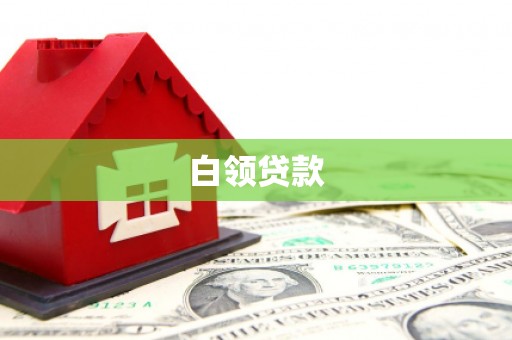 田阳白领贷款