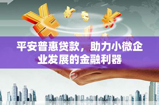 田阳平安普惠贷款，助力小微企业发展的金融利器