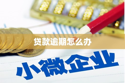 田阳贷款逾期怎么办