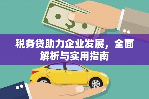 田阳税务贷助力企业发展，全面解析与实用指南
