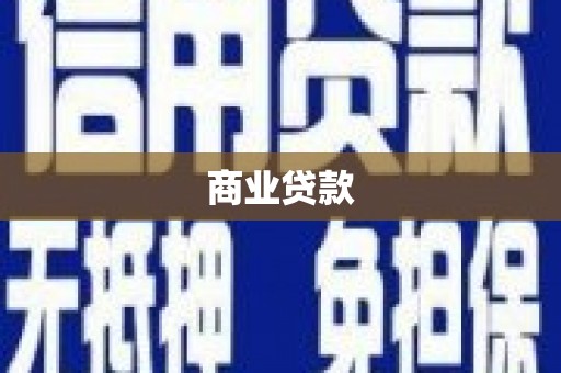 田阳商业贷款
