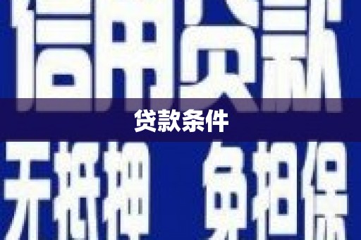 田阳贷款条件