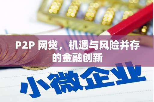 田阳P2P 网贷，机遇与风险并存的金融创新