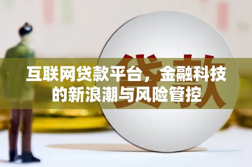 田阳互联网贷款平台，金融科技的新浪潮与风险管控