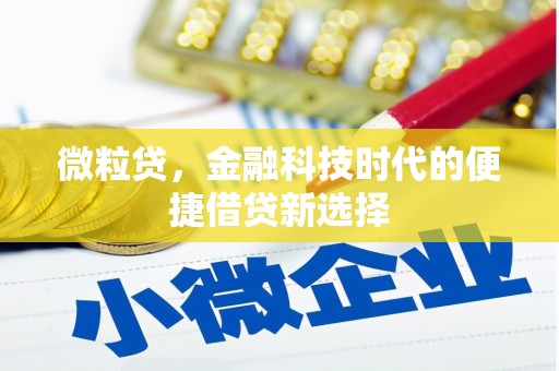 田阳微粒贷，金融科技时代的便捷借贷新选择