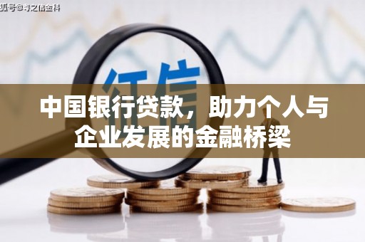 田阳中国银行贷款，助力个人与企业发展的金融桥梁