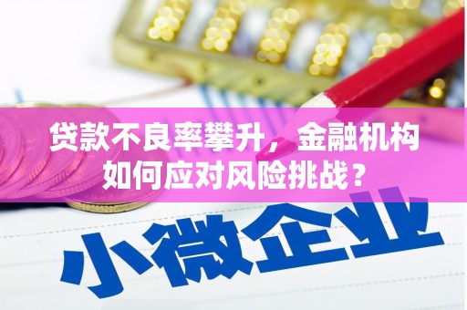 田阳贷款不良率攀升，金融机构如何应对风险挑战？