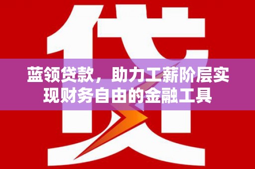 田阳蓝领贷款，助力工薪阶层实现财务自由的金融工具