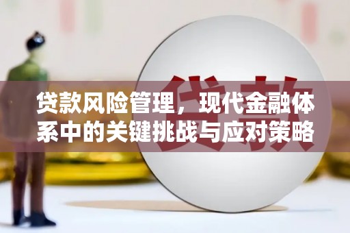 田阳贷款风险管理，现代金融体系中的关键挑战与应对策略