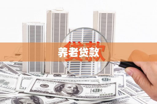 田阳养老贷款