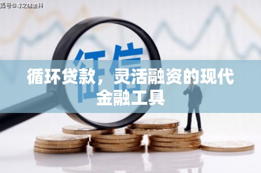 田阳循环贷款，灵活融资的现代金融工具