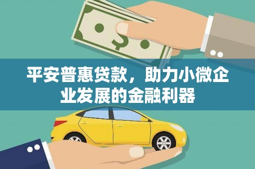 田阳平安普惠贷款，助力小微企业发展的金融利器