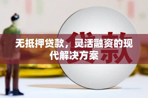 田阳无抵押贷款，灵活融资的现代解决方案