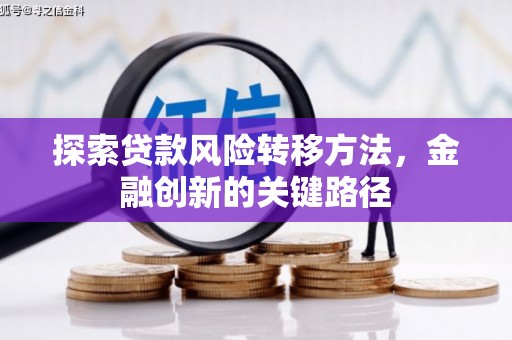 田阳探索贷款风险转移方法，金融创新的关键路径