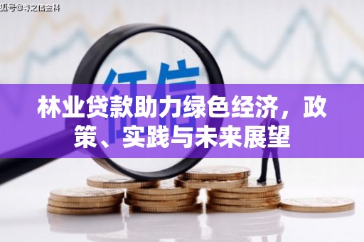 田阳林业贷款助力绿色经济，政策、实践与未来展望