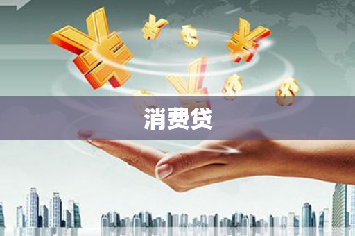 田阳消费贷