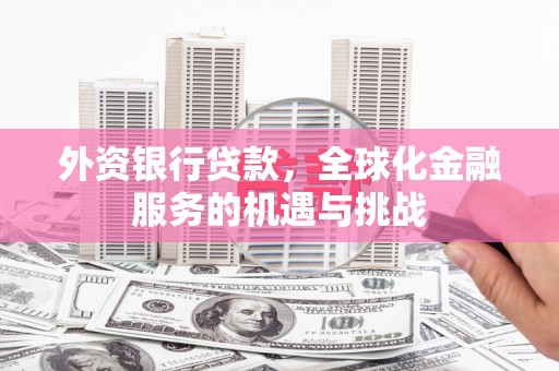 田阳外资银行贷款，全球化金融服务的机遇与挑战
