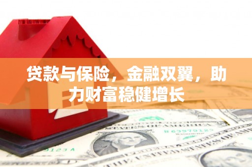 田阳贷款与保险，金融双翼，助力财富稳健增长