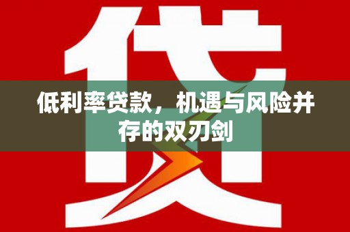 田阳低利率贷款，机遇与风险并存的双刃剑