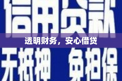 田阳透明财务，安心借贷