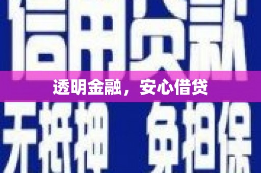 田阳透明金融，安心借贷
