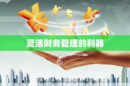 田阳灵活财务管理的利器