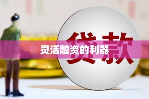 田阳灵活融资的利器
