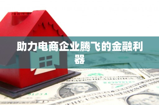 田阳助力电商企业腾飞的金融利器