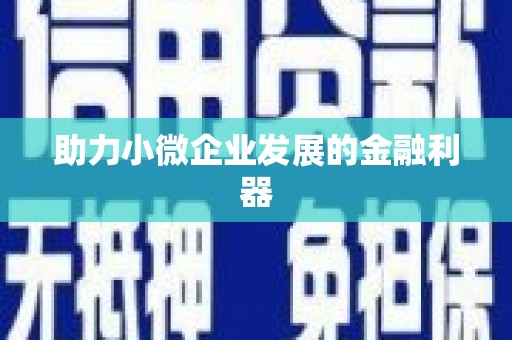 田阳助力小微企业发展的金融利器