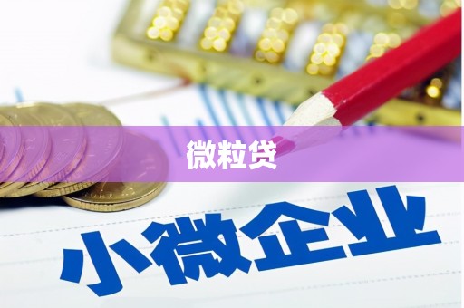 田阳微粒贷