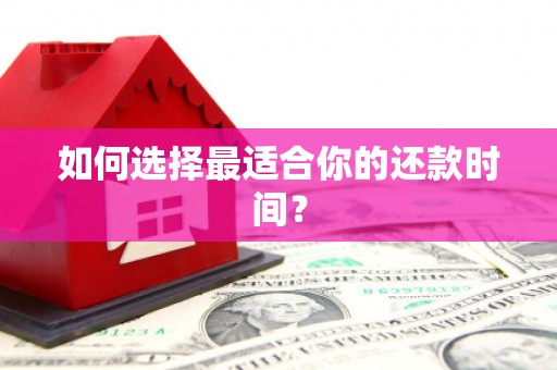 田阳如何选择最适合你的还款时间？