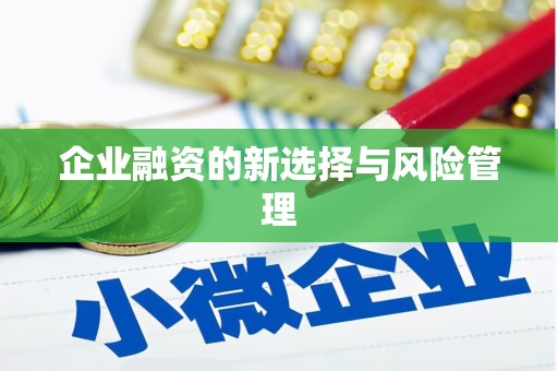 田阳企业融资的新选择与风险管理