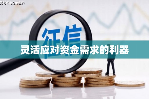 田阳灵活应对资金需求的利器