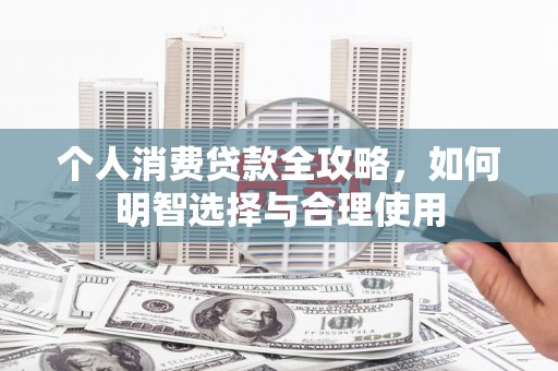 田阳个人消费贷款全攻略，如何明智选择与合理使用
