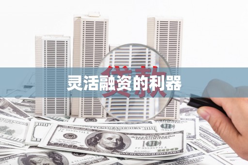 田阳灵活融资的利器